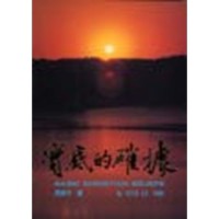 Image of 實底的確據